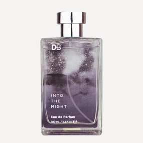 Into the Night (EDP)