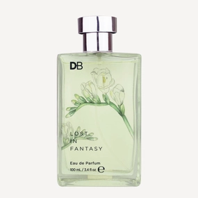 Lost in Fantasy (EDP)
